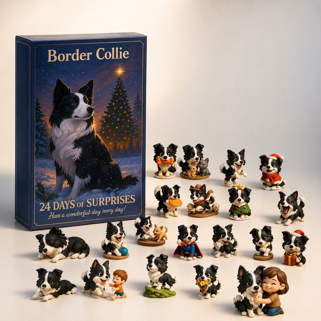 2026 Border Collie Advent Calendar - 24-Day Christmas Countdown for Dog Lovers