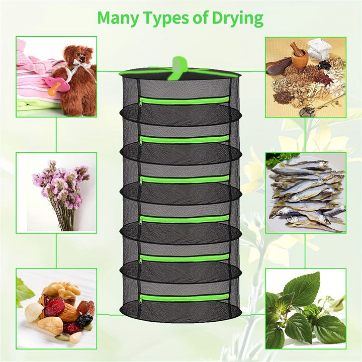 6-Tier Folding Drying Rack with Mesh Trays for Herbs, Seeds, Fruits and Vegetables