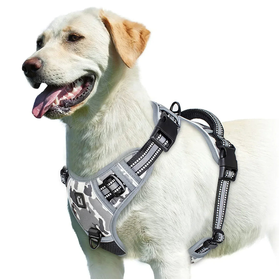 Adjustable Dog Harness for Comfortable Walks