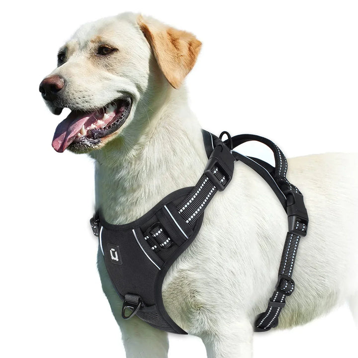 Adjustable Dog Harness for Comfortable Walks