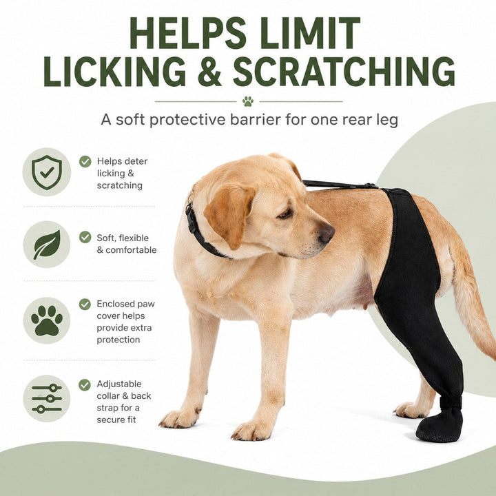 Adjustable Dog Hind Leg Recovery Brace with Paw Cover