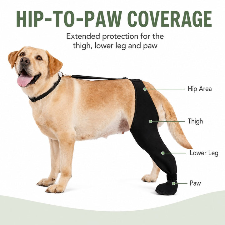 Adjustable Dog Hind Leg Recovery Brace with Paw Cover