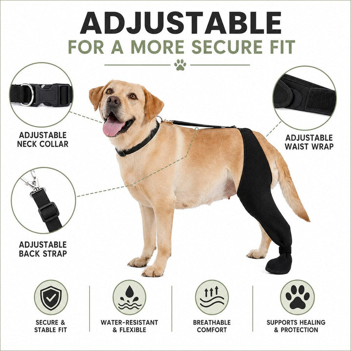 Adjustable Dog Hind Leg Recovery Brace with Paw Cover
