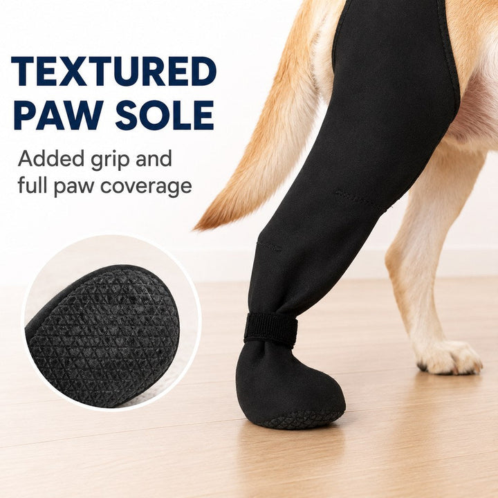 Adjustable Dog Hind Leg Recovery Brace with Paw Cover
