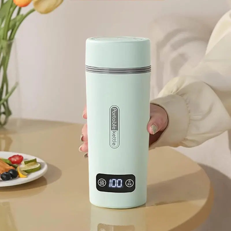 Adjustable Temperature Kettle Green 500ml