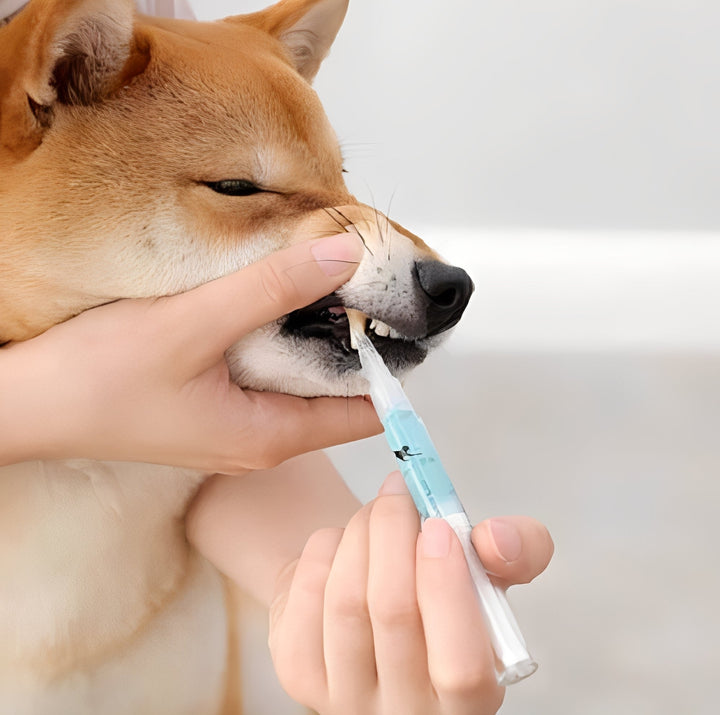 Advanced Pet Dental Health and Deep Cleaning Repair Formula