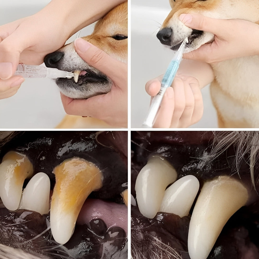 Advanced Pet Dental Health and Deep Cleaning Repair Formula