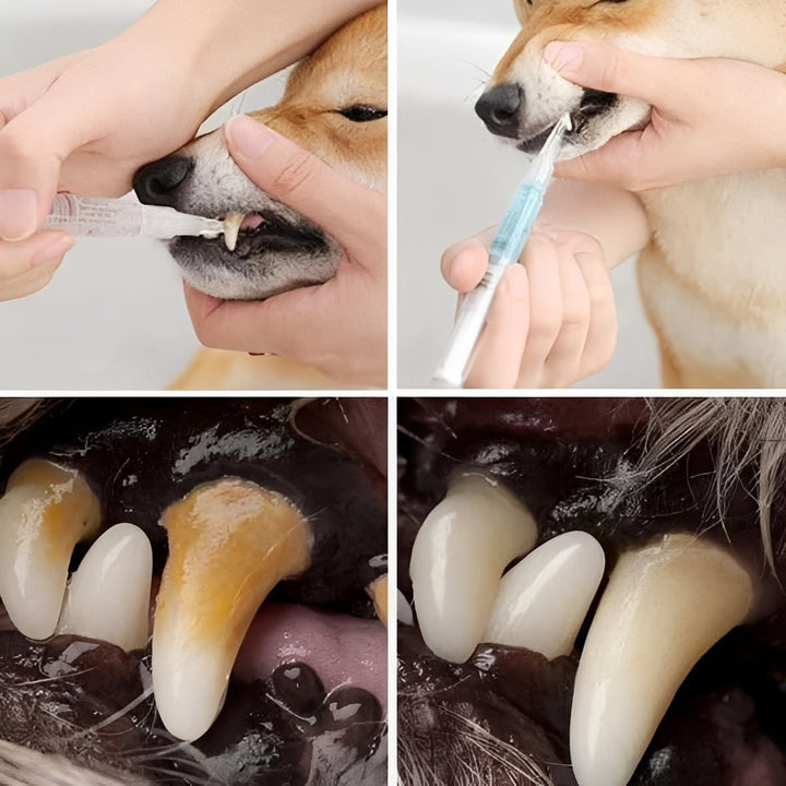 Advanced Pet Dental Health and Deep Cleaning Repair Formula