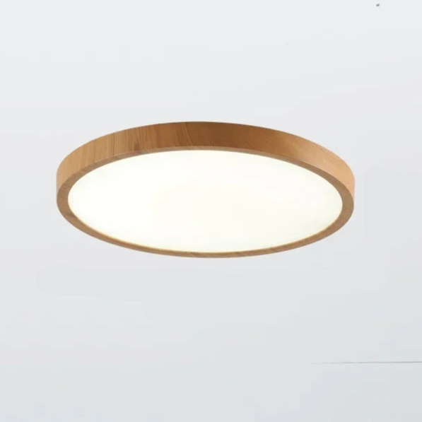 Aeris Minimalist Ceiling Light for Home | Niki