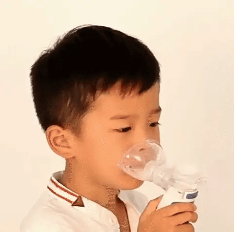 AeroMist Portable Nebulizer Rechargeable Ultrasonic