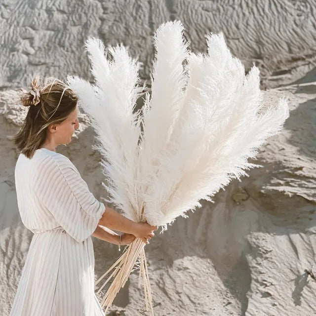 Aurea Meadow Boho Dried Pampas Grass for Home Decor