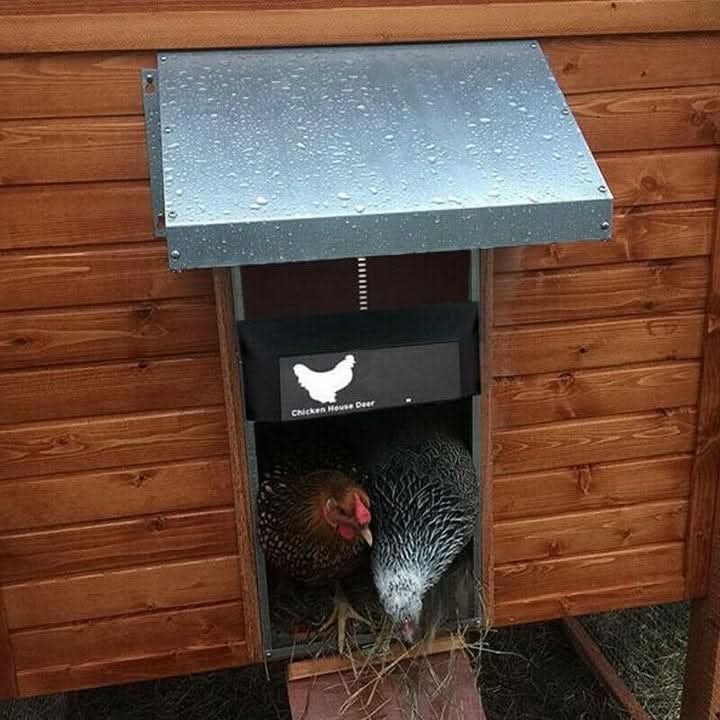 AUTOCOOP – Automatic Chicken Coop Door with Light Sensor &amp; Weather Protection