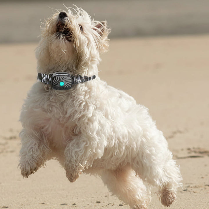 BARKCALM MINI – Gentle Anti-Bark Collar with Sound &amp; Vibration for Small Dogs