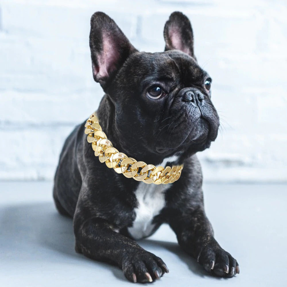 BlingBling Golden Dog Necklace