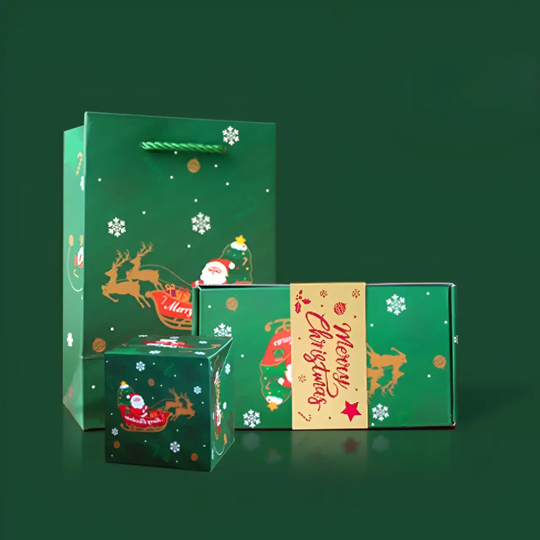 Christmas Surprise Money Box
