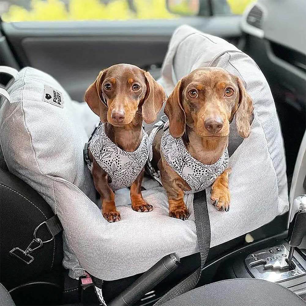COMFYRIDE DOG SEAT – Dog seat bed with safety belt &amp; non-slip bottom