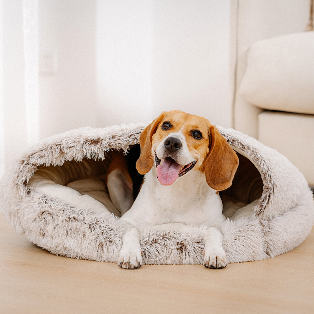Cozy &amp; Safe Semi-Open Pet Bed Soft Cotton Fabric