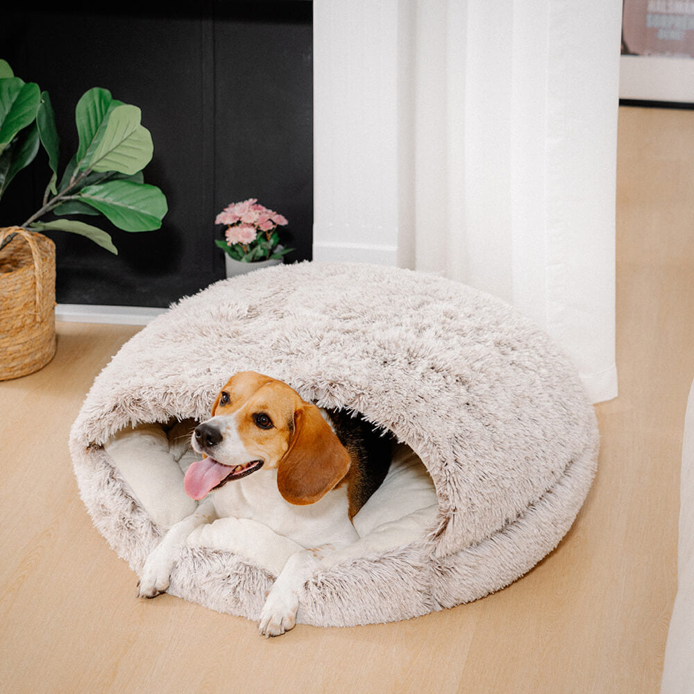 Cozy &amp; Safe Semi-Open Pet Bed Soft Cotton Fabric