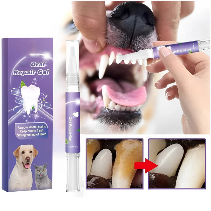 Dog Oral Repair Gel - Set of 3