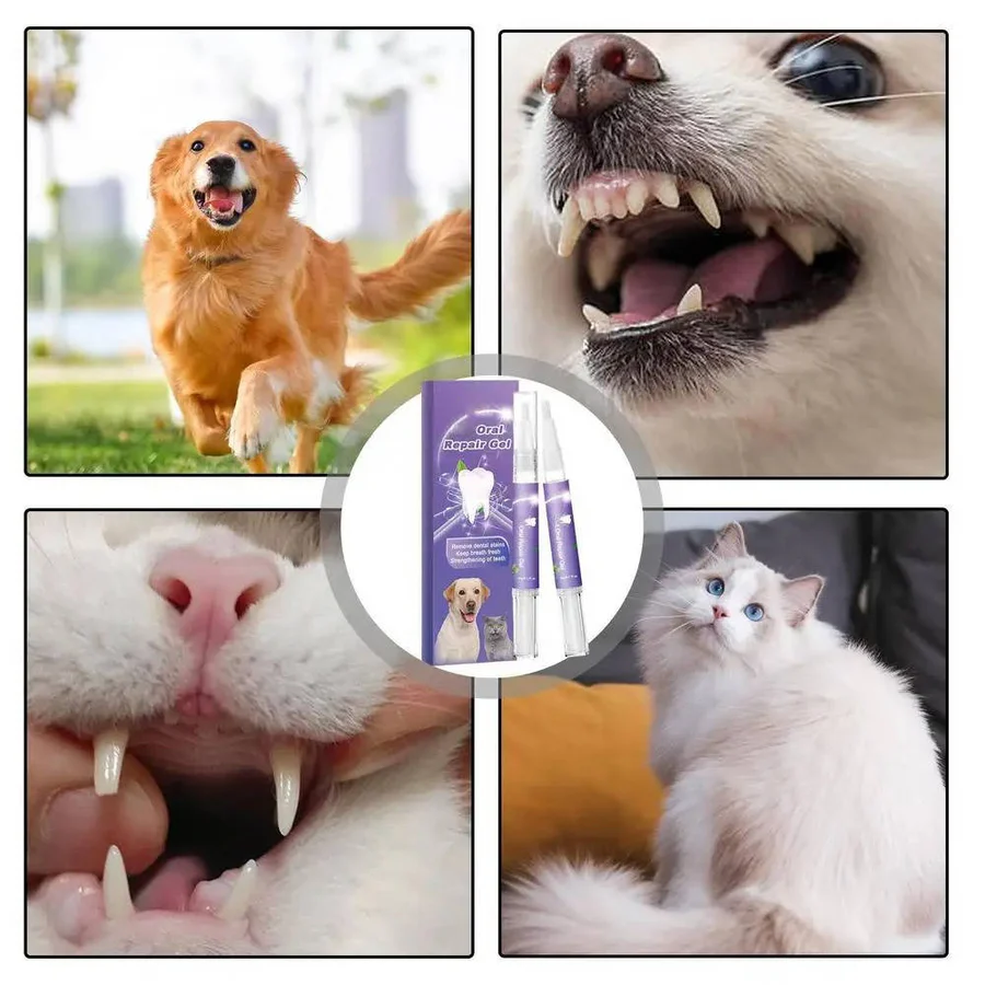 Dog Oral Repair Gel - Set of 3