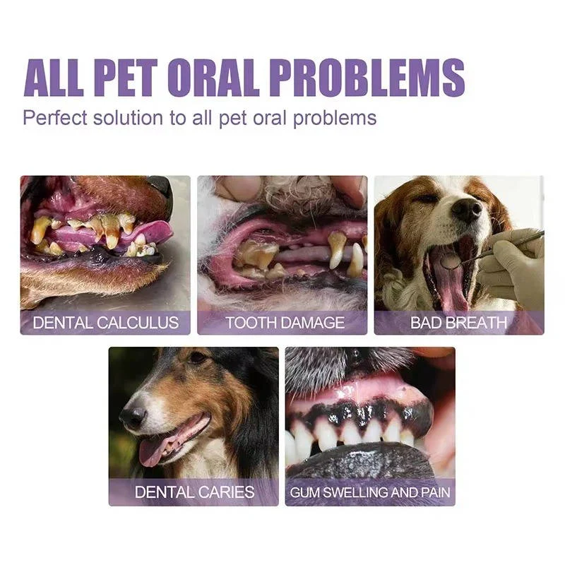 Dog Oral Repair Gel - Set of 3