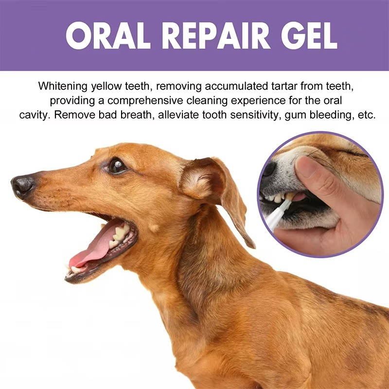 Dog Oral Repair Gel - Set of 3