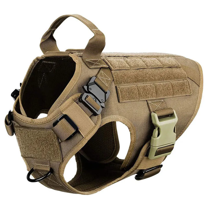 Durable Set for Active Dogs
