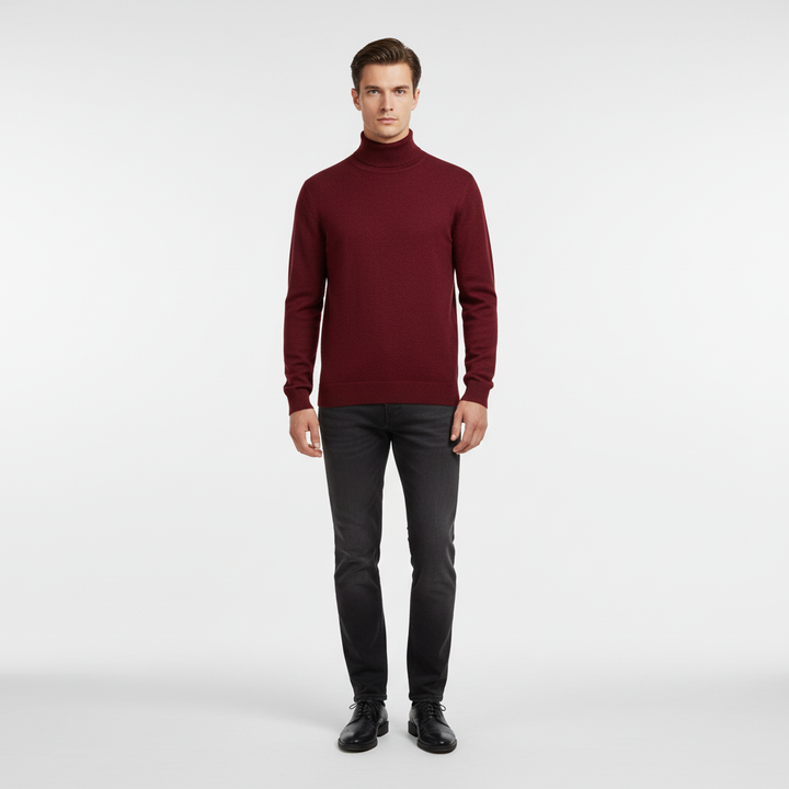 Elegantly Cut Turtleneck Sweater - Harald