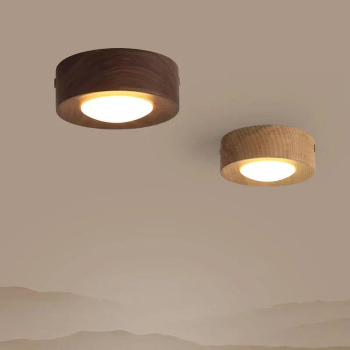EMBERLED – Energy-saving Walnut Light Solution