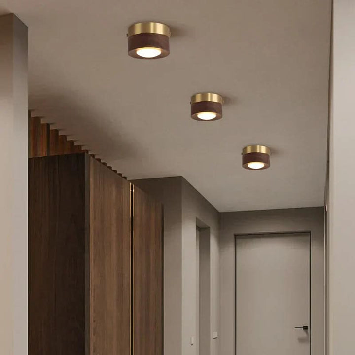 EMBERLED – Energy-saving Walnut Light Solution