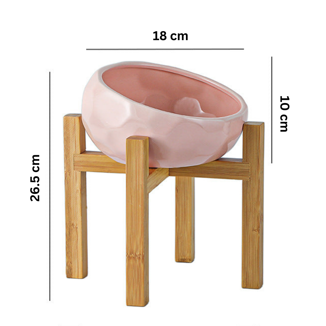 Ergonomic Elevated Pet Bowl with Non-Slip Wooden Stand