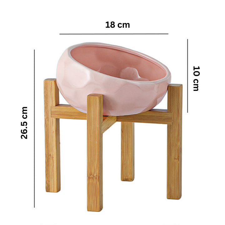 Ergonomic Elevated Pet Bowl with Non-Slip Wooden Stand