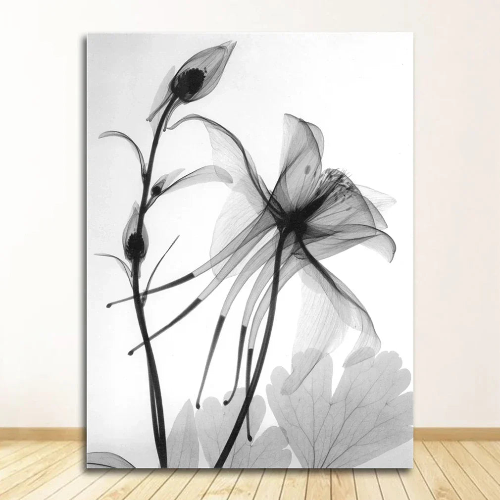 Exotic Flowers Minimalist Black and White Wall Art Fine Art Canvas Prints Modern Botanical Pictures for Living Room, Dining Room and Office Decor