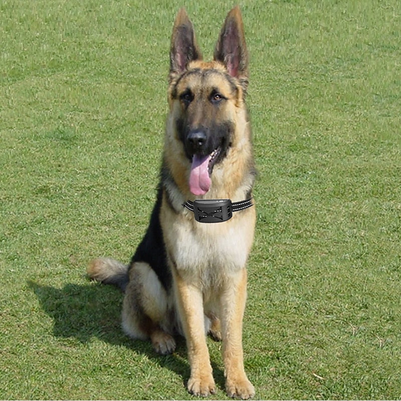 FidoFence Pro Wireless Dog Fence System With Collar, 9–240m