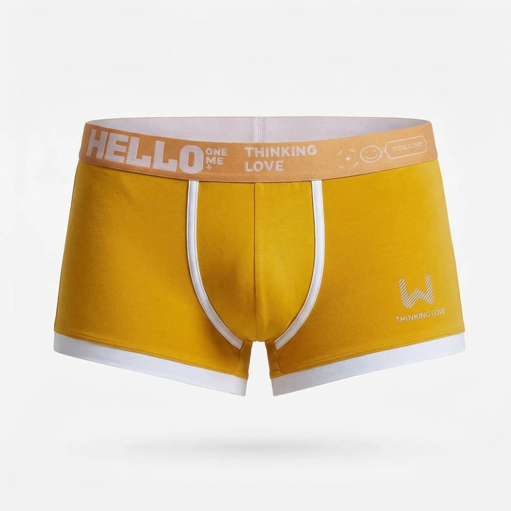 Fitted Boxer Briefs with Logo Waistband (8-Pack)
