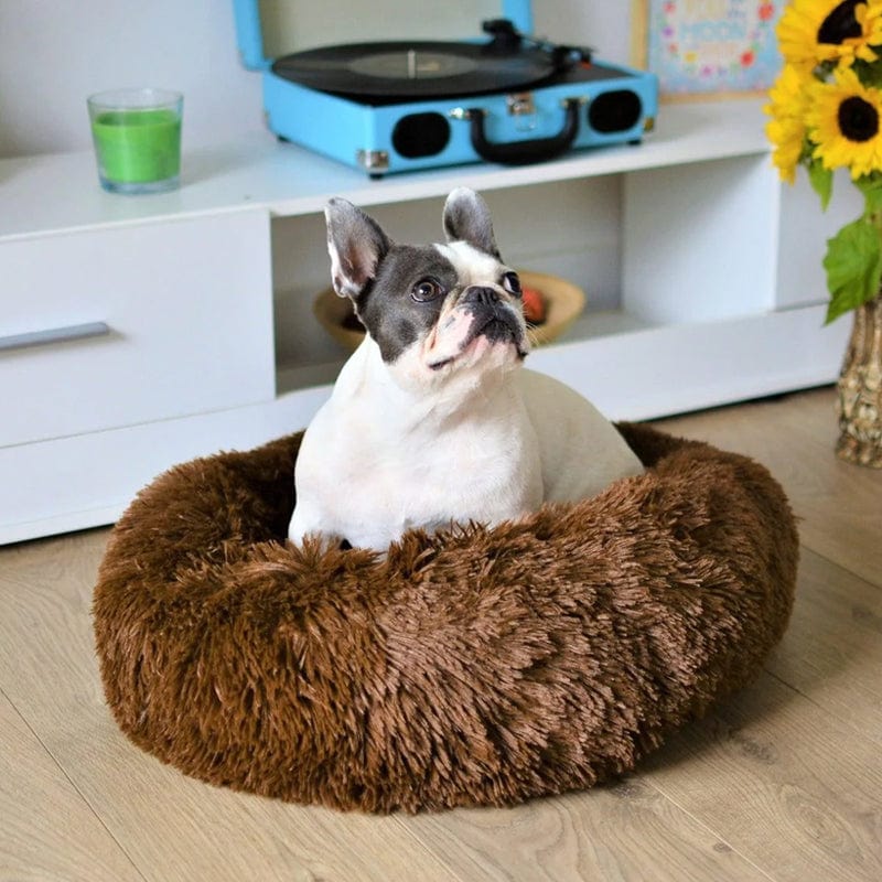 Fluffy Calming Dog Bed