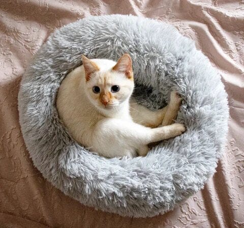 Fluffy Calming Dog Bed