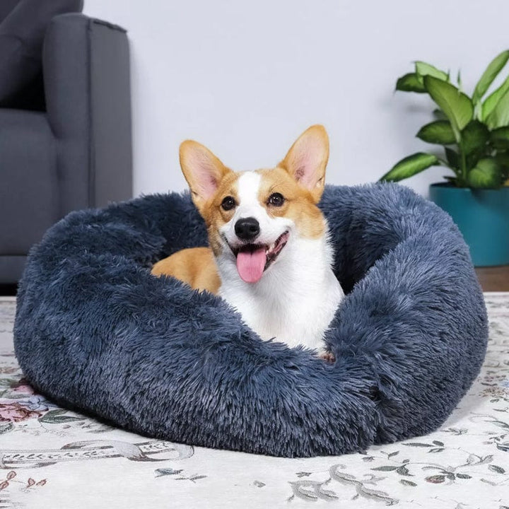 Fluffy Calming Dog Bed