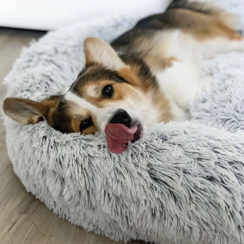 Fluffy Calming Dog Bed