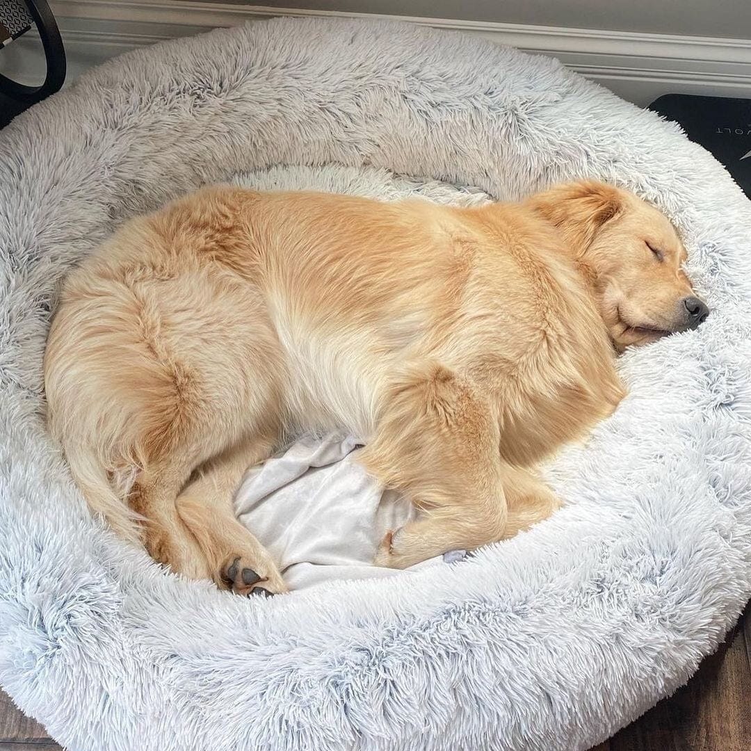 Fluffy Calming Dog Bed
