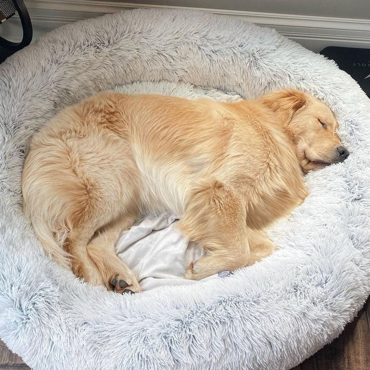 Fluffy Calming Dog Bed
