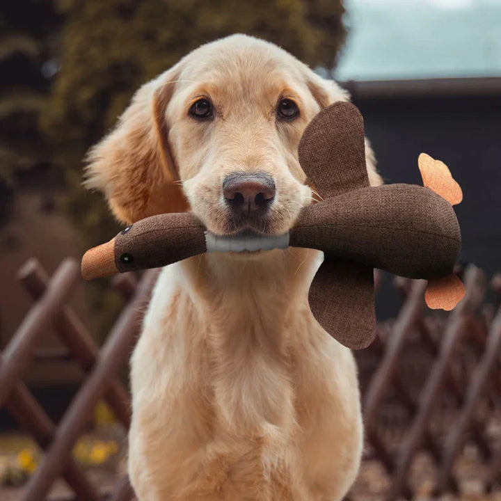 Indestructible Dog Toy for Dental Care
