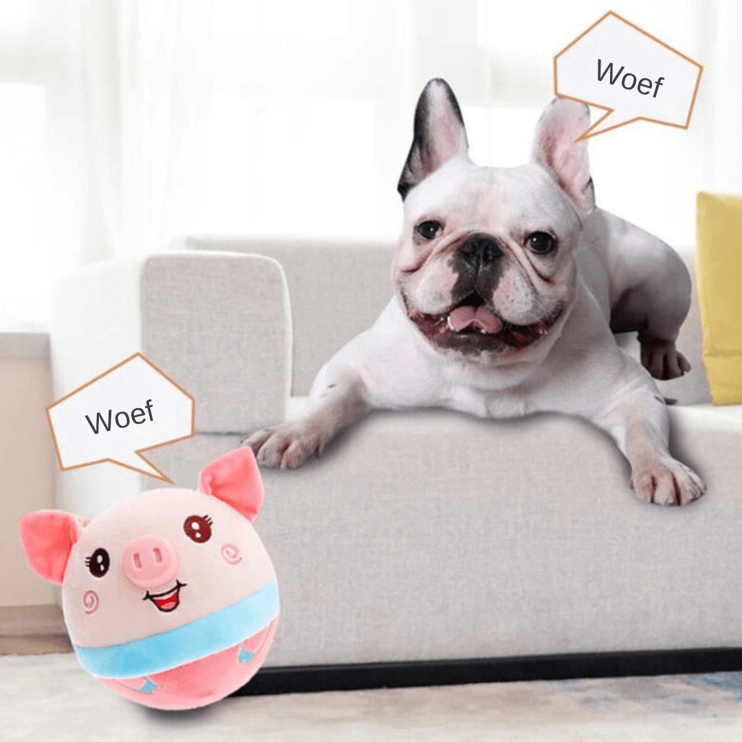 Interactive Motion Ball for Energetic Dogs
