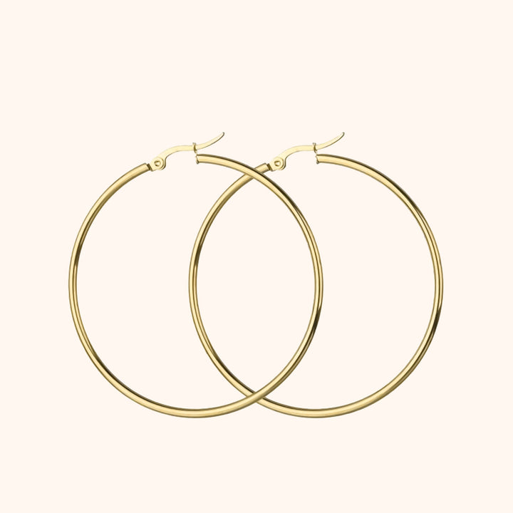 Large Hoop Earrings