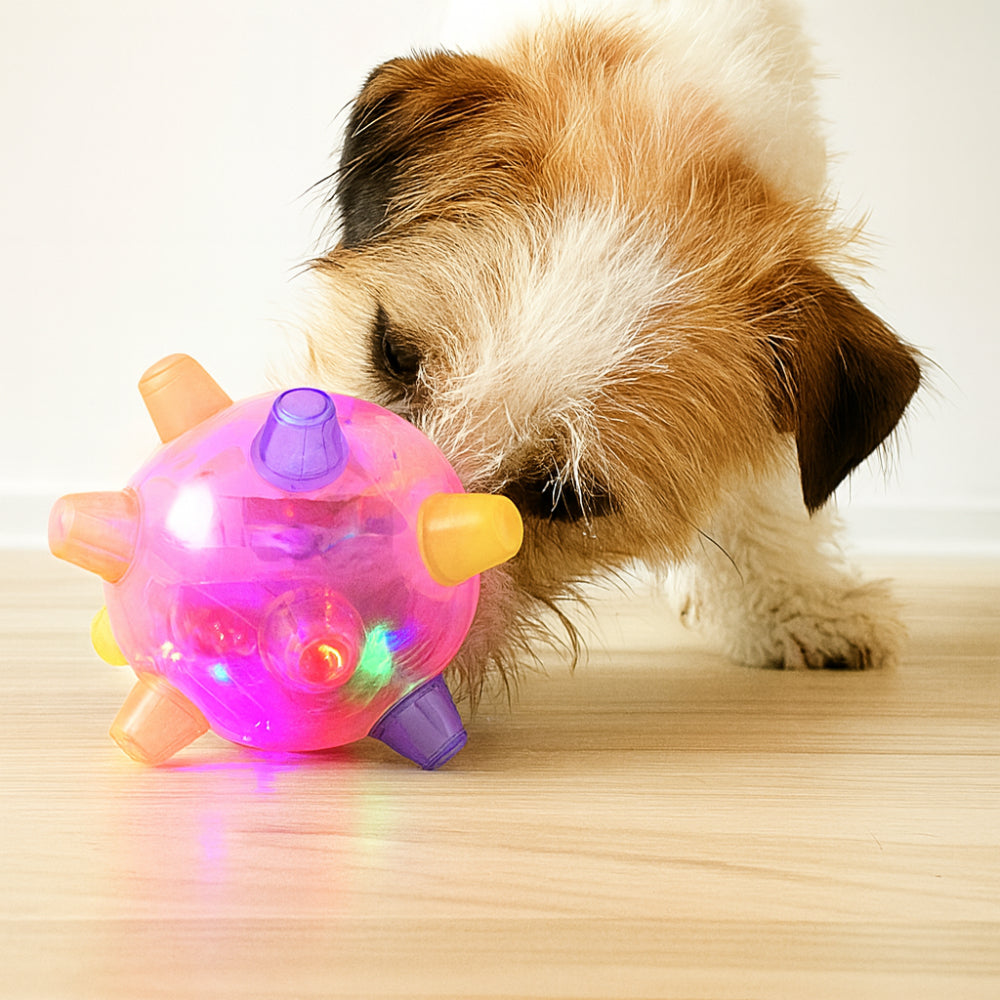 LED Bouncing Dog Activity Ball — Durable Plastic Toy