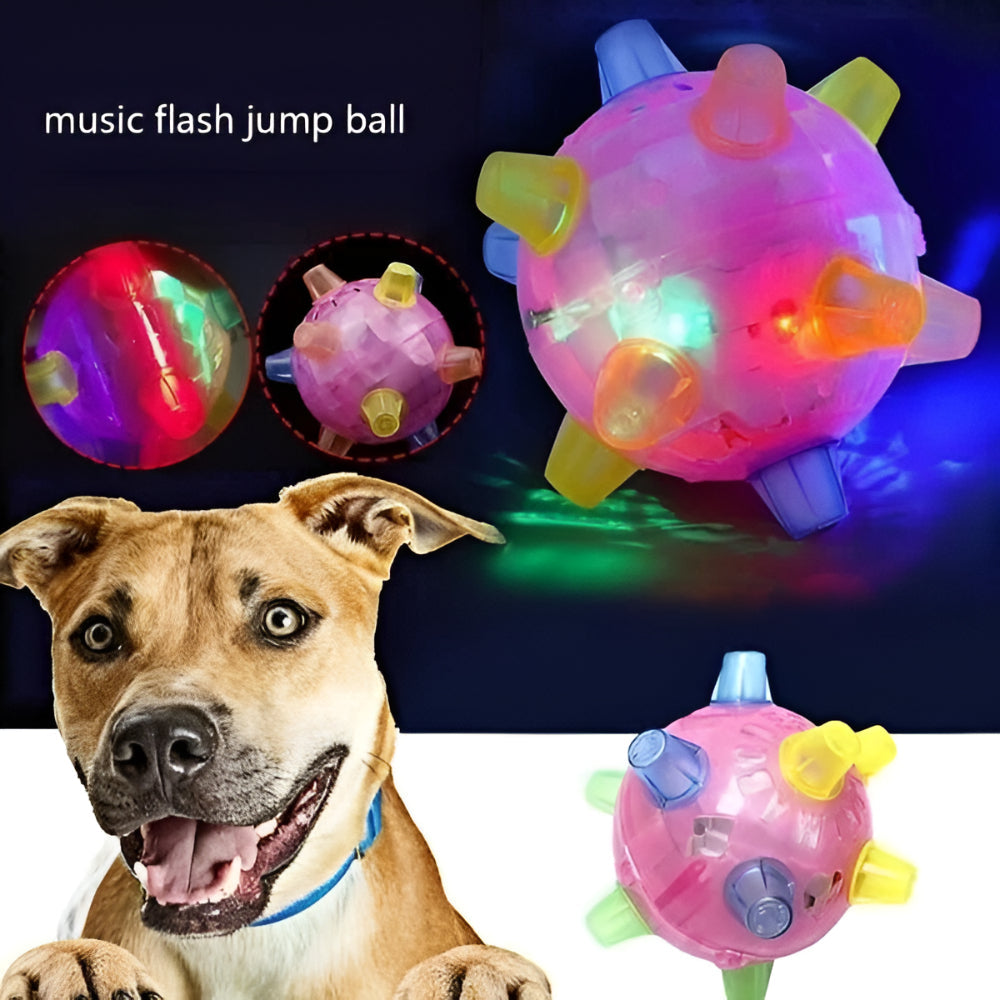 LED Bouncing Dog Activity Ball — Durable Plastic Toy