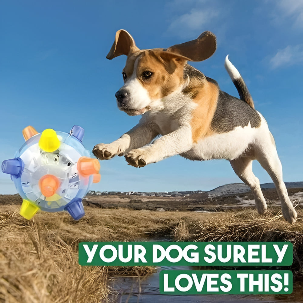 LED Bouncing Dog Activity Ball — Durable Plastic Toy