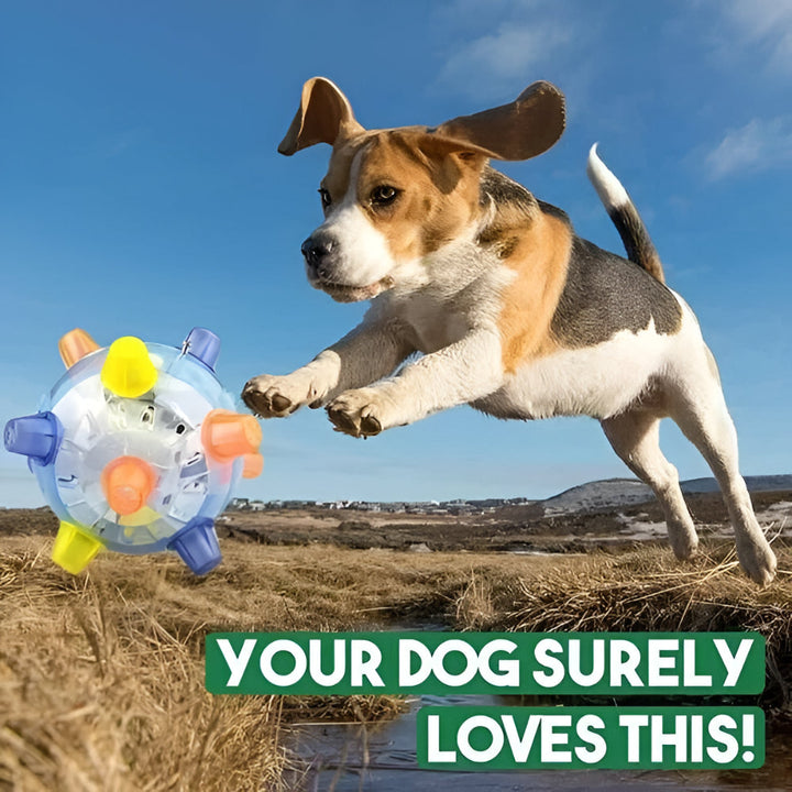 LED Bouncing Dog Activity Ball — Durable Plastic Toy