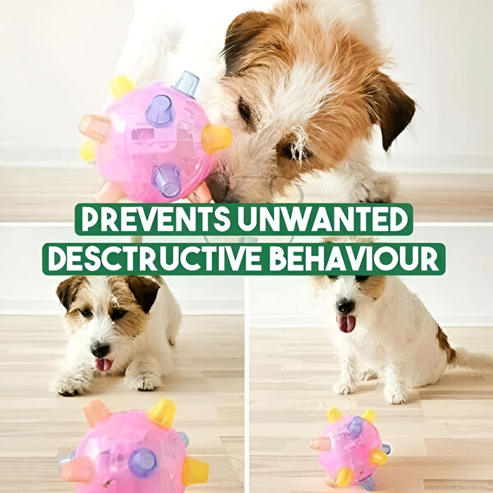 LED Bouncing Dog Activity Ball — Durable Plastic Toy