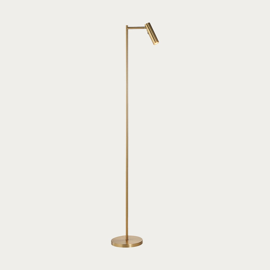 Modern Adjustable Floor Lamp with Push-Button Dimmer